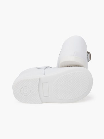 Pisamonas Flats in White