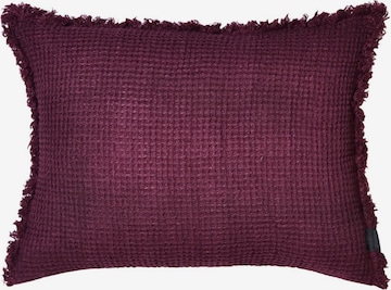 ZOEPPRITZ Pillow 'Honeybee' in Purple: front