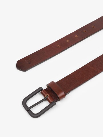 Scalpers Belt in Brown