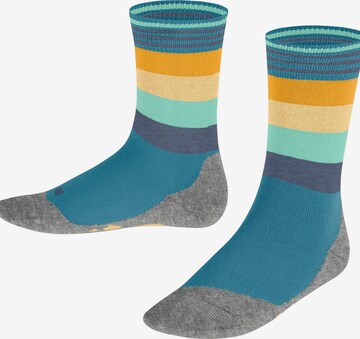 FALKE Socks 'Active Fox' in Green: front