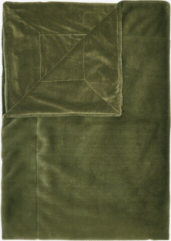 ESSENZA Blankets 'Furry' in Green: front