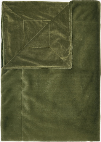 ESSENZA Blankets 'Furry' in Green: front