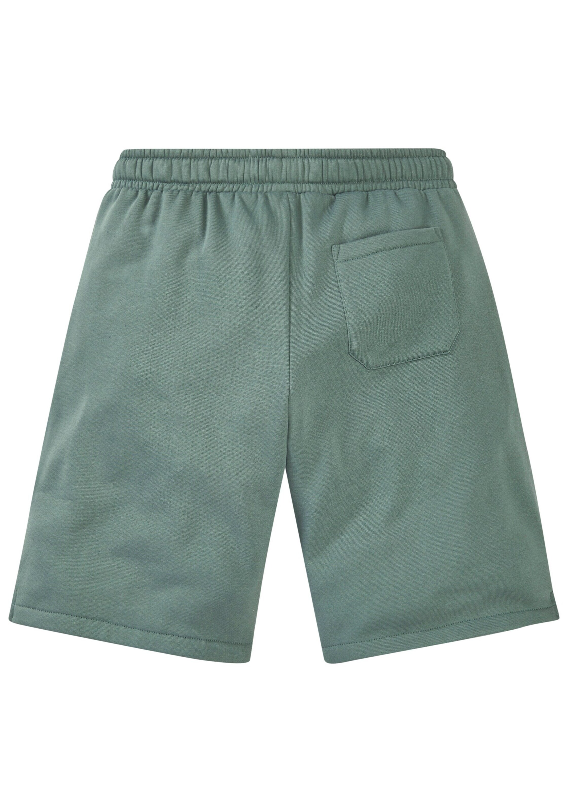 Regular Pantalon JOHN DEVIN en vert