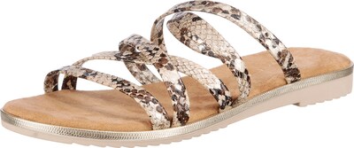 JANE KLAIN Pantoletten in beige, Produktansicht