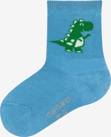 camano Socks in Blue