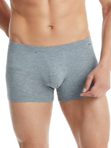 Blackspade Boxershorts in Grijs