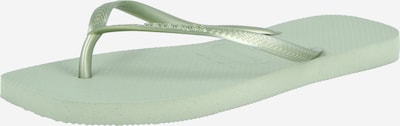 HAVAIANAS Zehentrenner 'SLIM SQUARE' in 37-38 in mint, Produktansicht