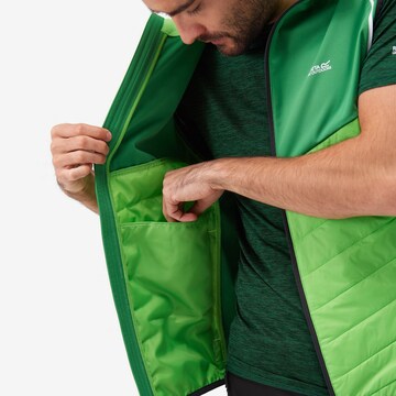 REGATTA Outdoor jacket 'Steren' in Green