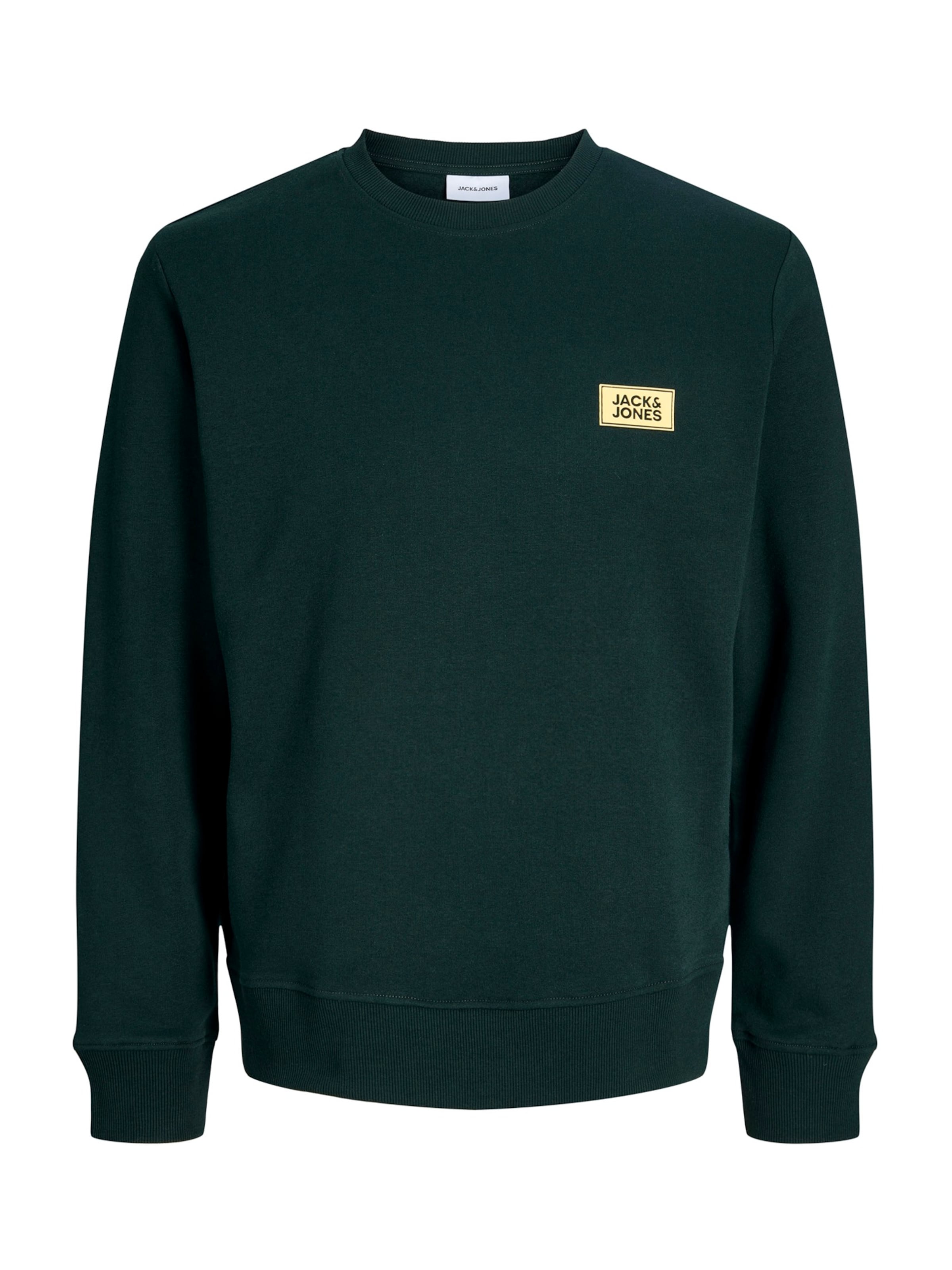 Felpa 'JJRUSH' di JACK & JONES in verde: frontale