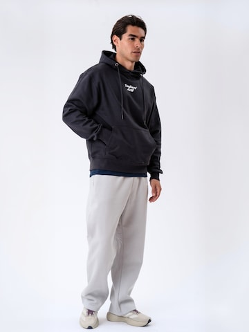 Pull-over ' Apres ' Toujours Actif en gris