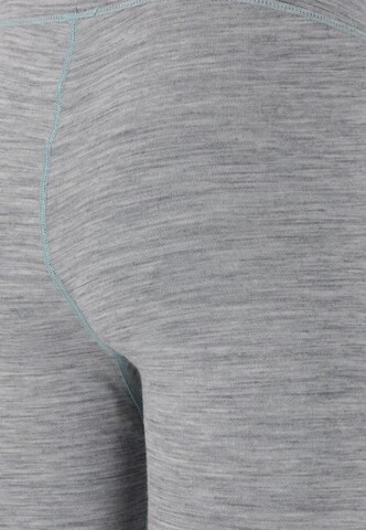 Whistler Athletic Underwear 'Binna' in Grey