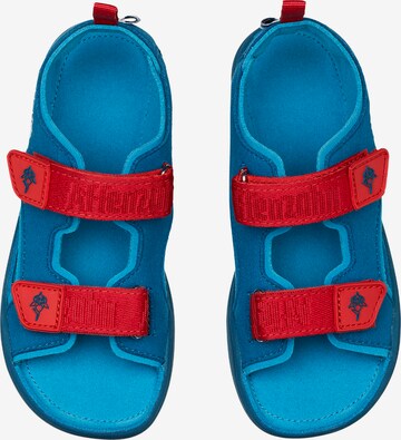 Affenzahn Sandals & Slippers 'Airy Hai' in Blue