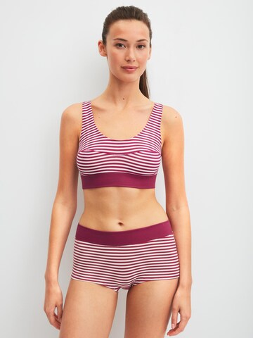 CALIDA Boyshorts 'Elastic' in Purple