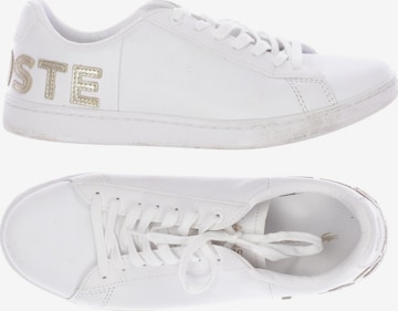 LACOSTE Sneakers & Trainers in 39 in White: front