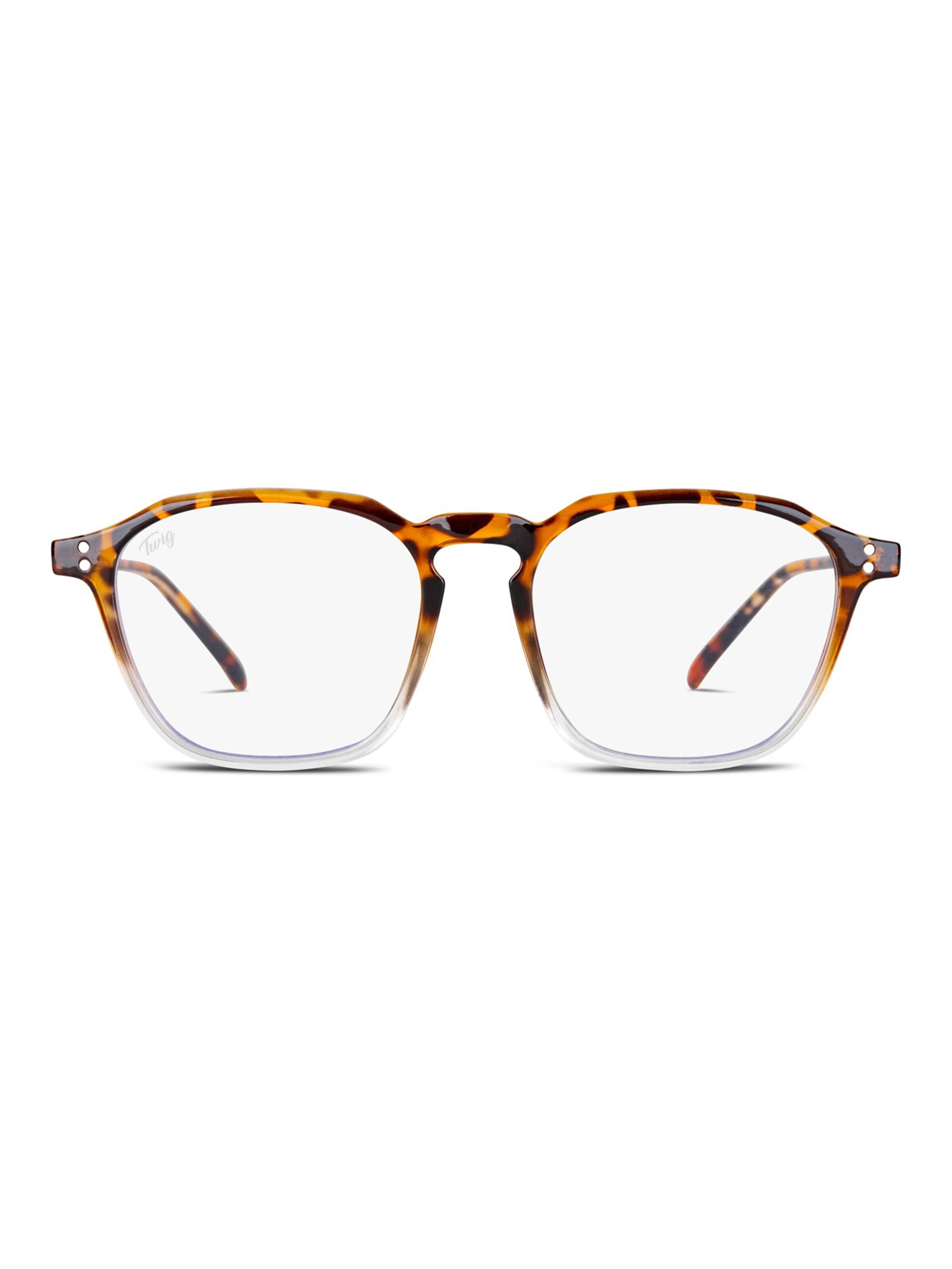 TWIG Concept Milano Brillen 'Baudry' in Bruin