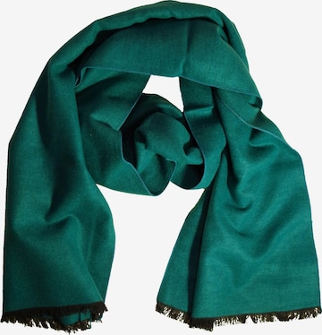 Posh Gear Scarf 'Setaforte' in Green: front