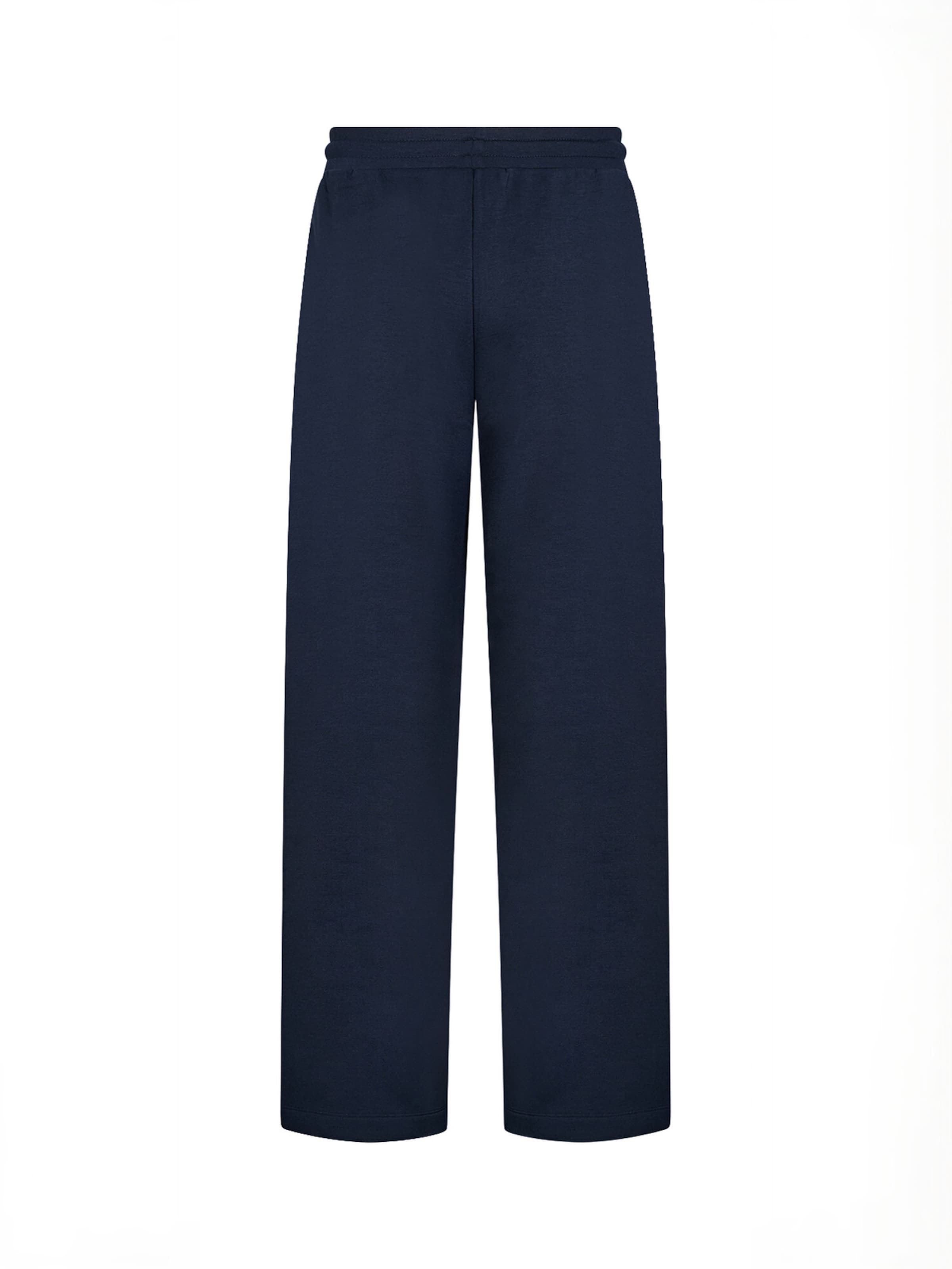 Soyaconcept - regular Pantalón ' SC-JANNY ' en azul: atrás