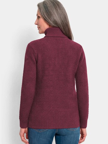 Goldner Sweater in Purple