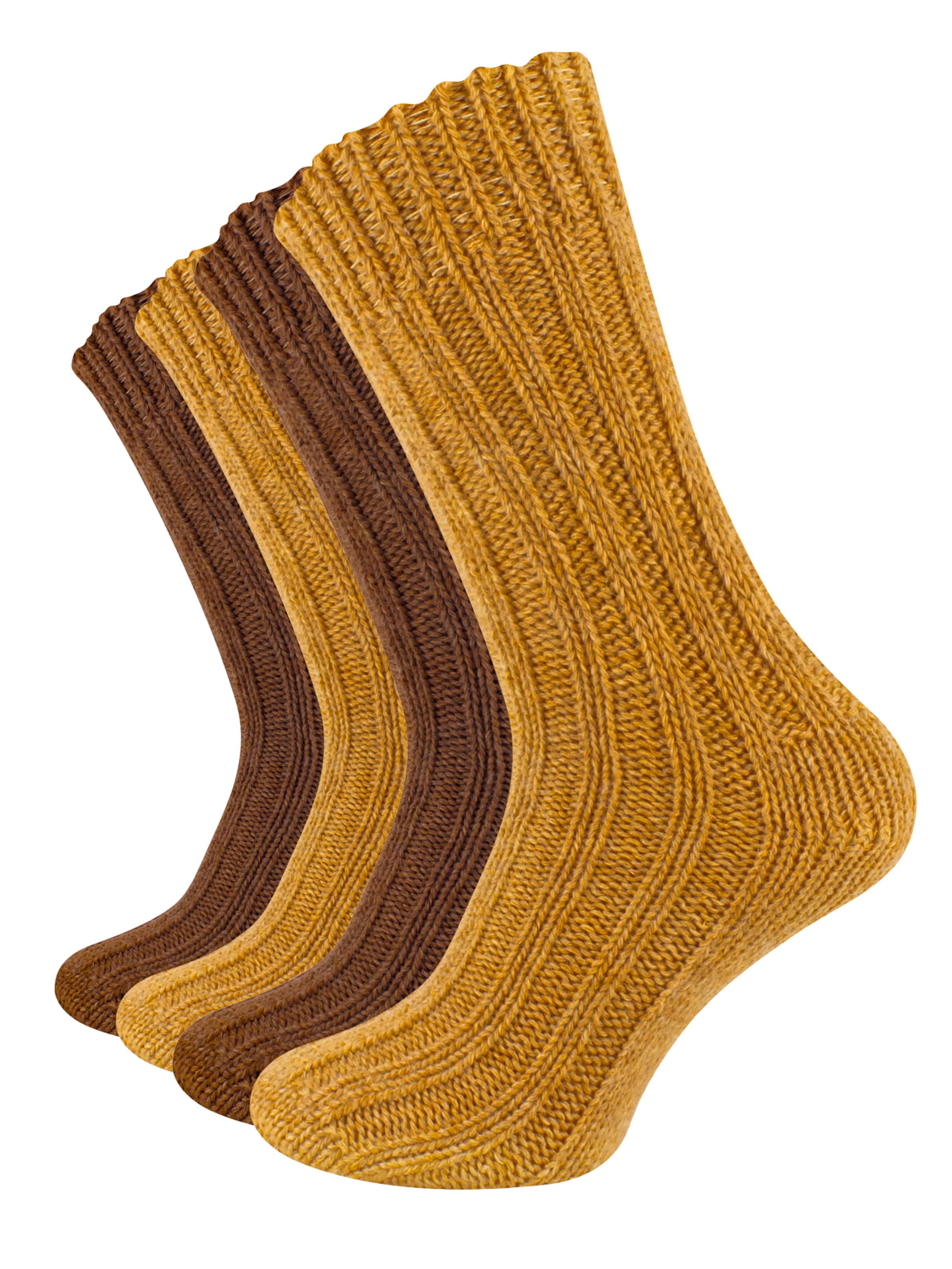 Cotton Prime - Meias em castanho: frente