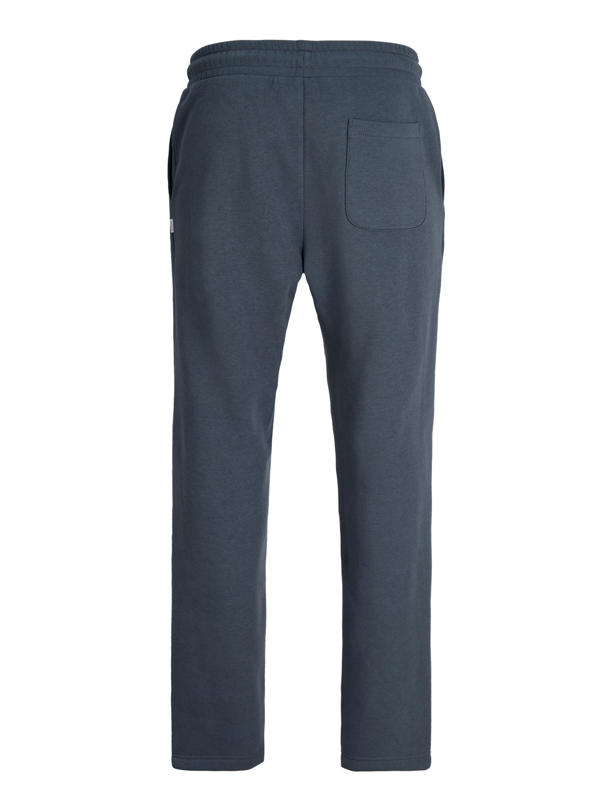 Regular Pantalon JACK & JONES en gris