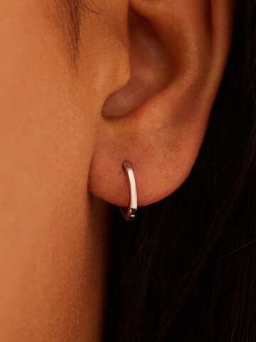 Lucardi Earrings in Silver: front