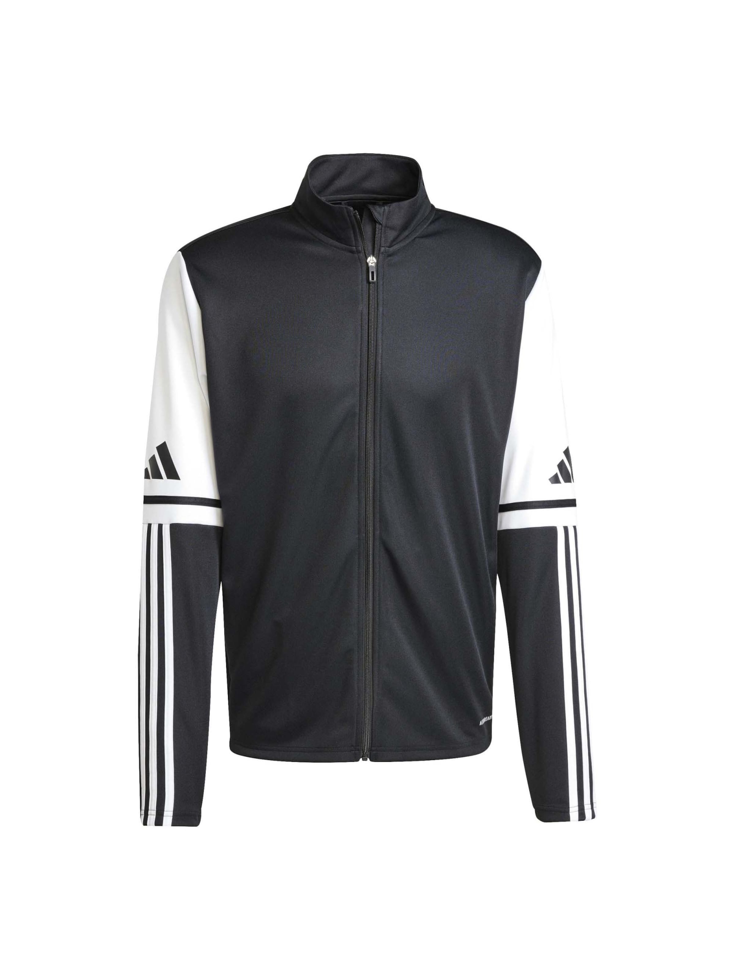 Veste outdoor 'Squadra 25' ADIDAS PERFORMANCE en noir : devant