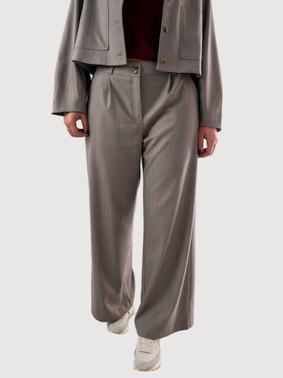 WEARABLE STORIES Pantalon à pince 'Joy' en taupe, Vue avec produit