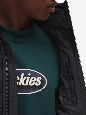 Veste d’hiver 'WALDENBURG' DICKIES en noir