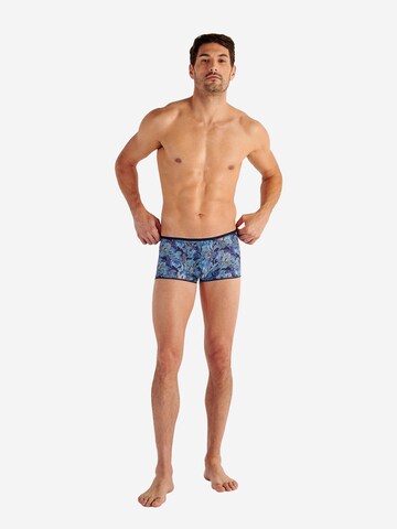 Boxers ' Barrett ' HOM en bleu