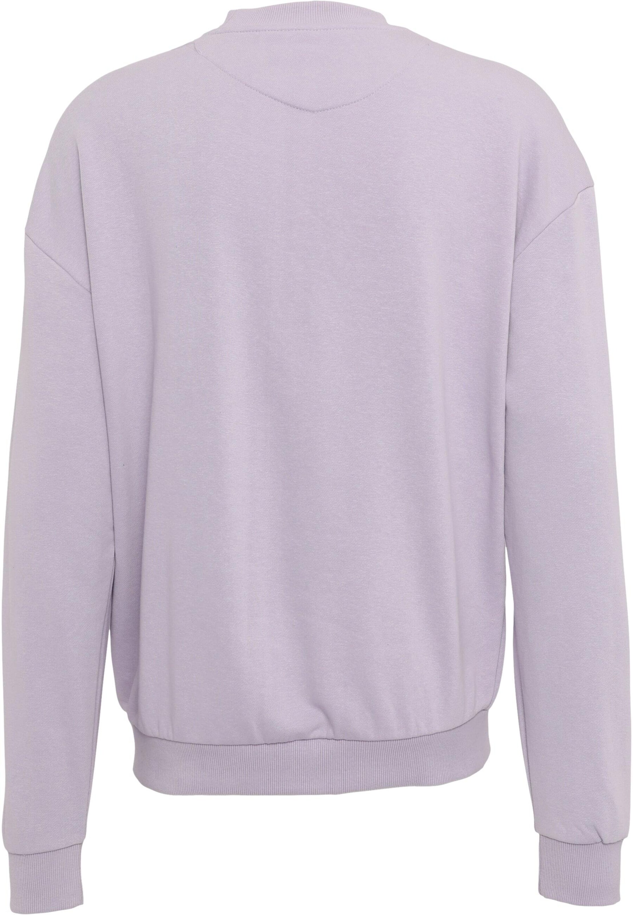 Urban Classics Sweatshirt in Purple