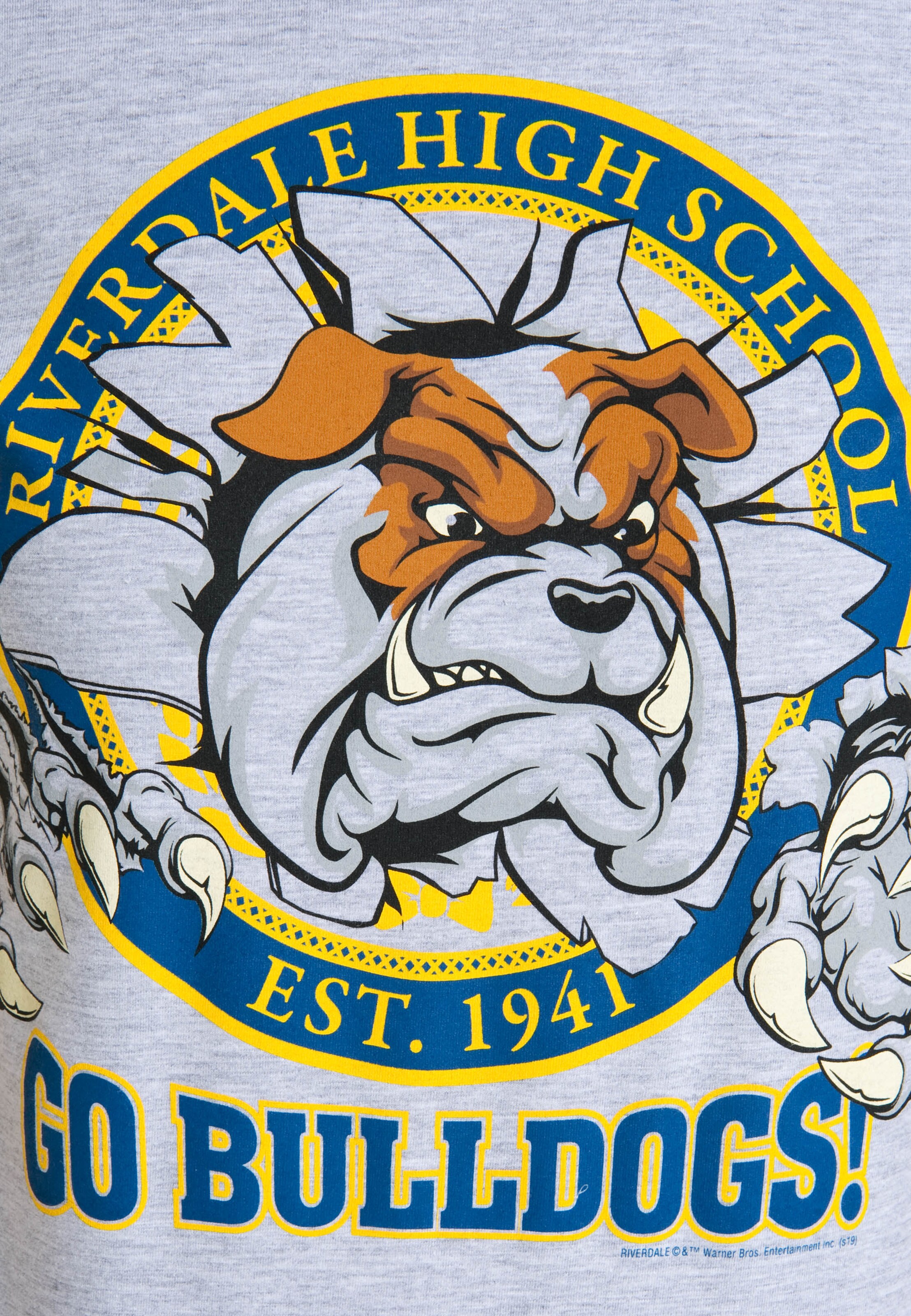 LOGOSHIRT Shirt in Grau