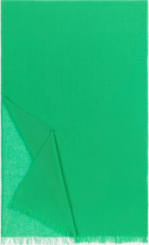 Roeckl Schal 'BASIC WOOL' in Grün: Vorderseite