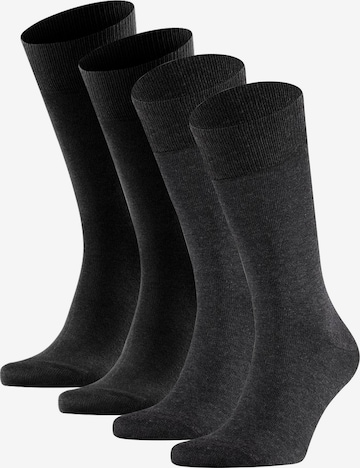 Chaussettes FALKE en gris : devant
