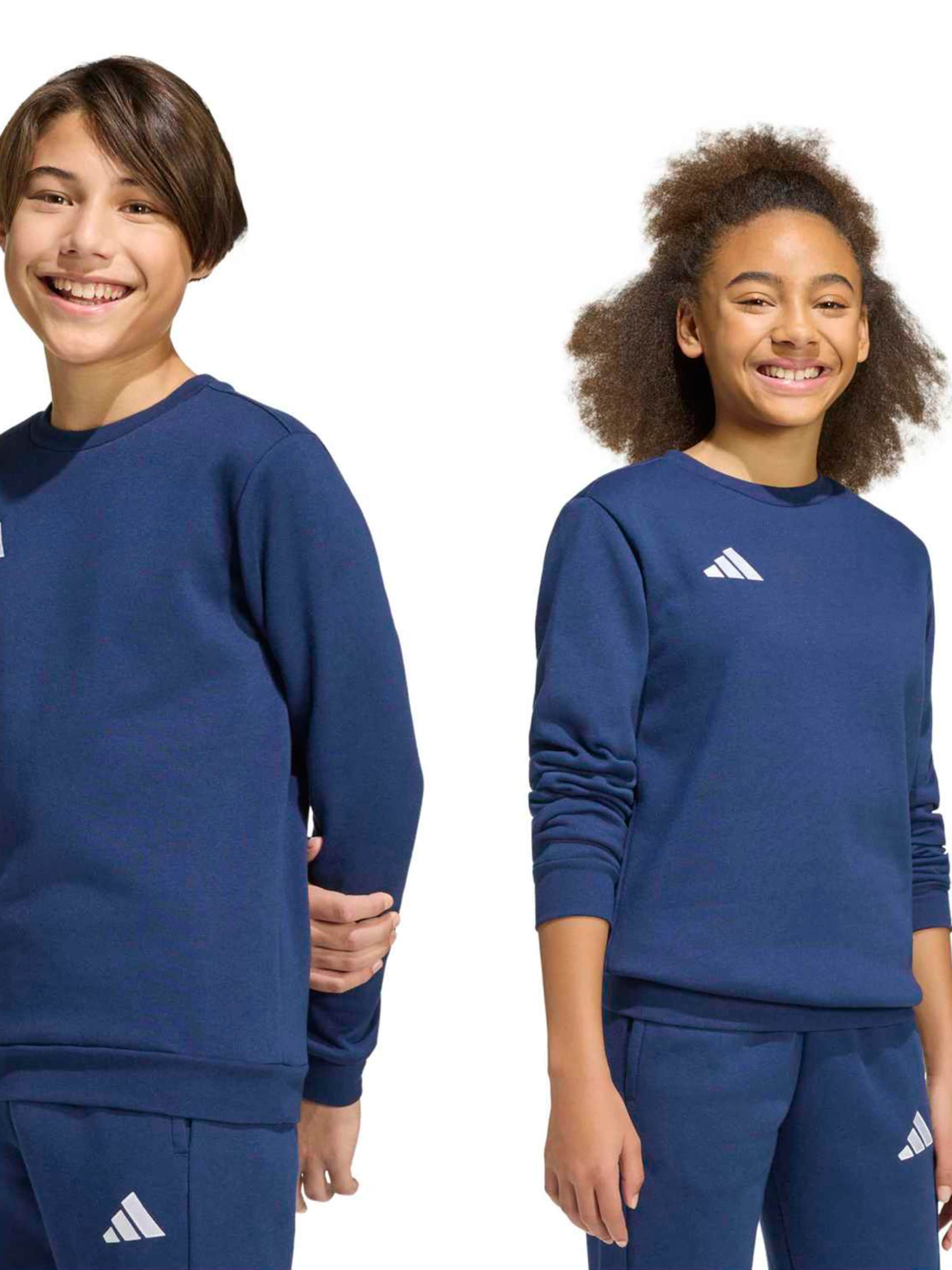 ADIDAS PERFORMANCE Sport sweatshirt 'ENT26' i blå