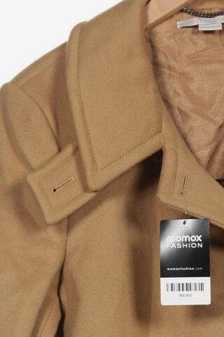 Stella McCartney Jacket & Coat in XXL in Beige