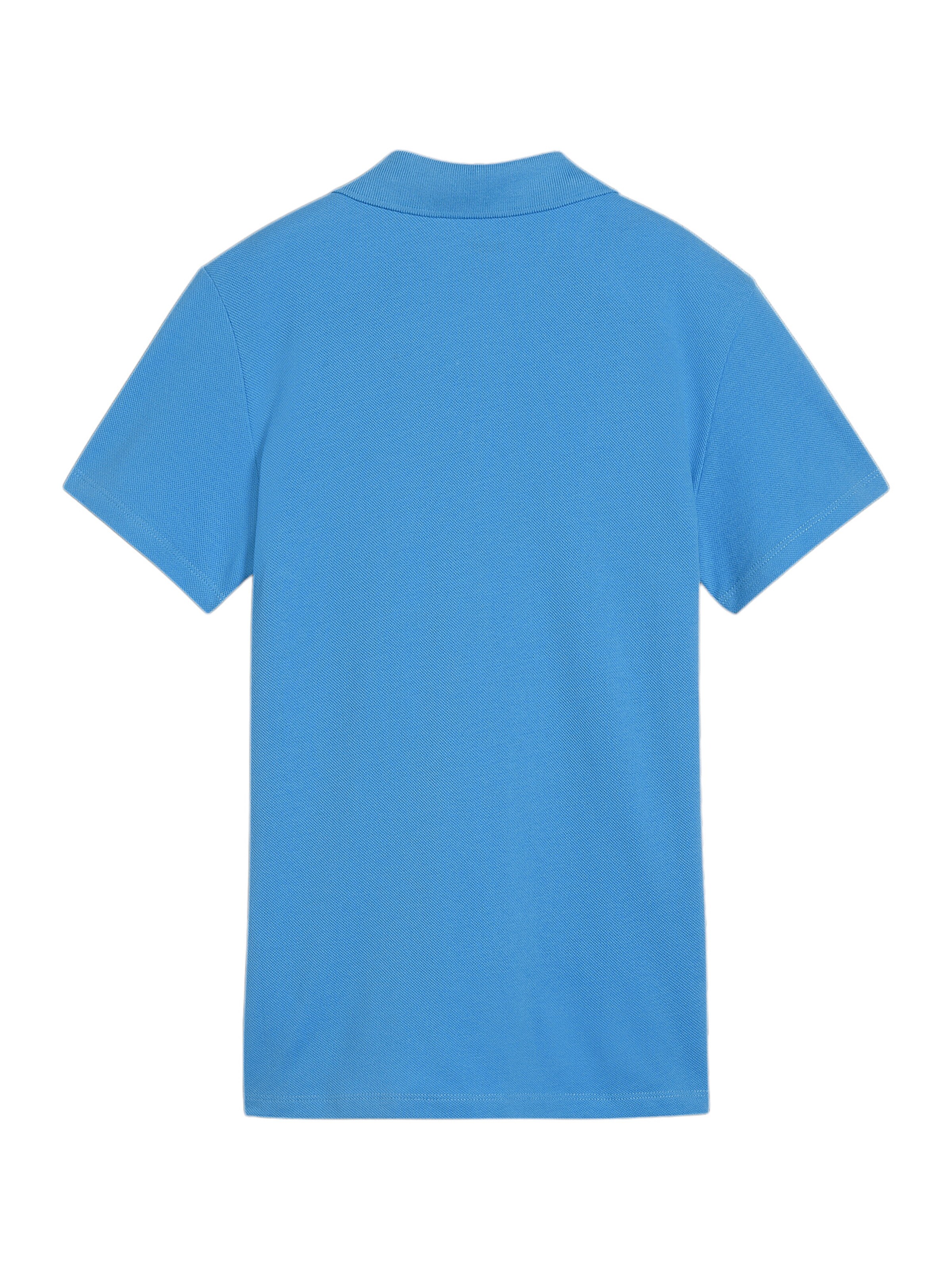 PUMA Sportshirt 'TeamGoal' in Blau