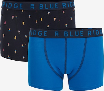 WE Fashion Boxershorts in Blau: predná strana