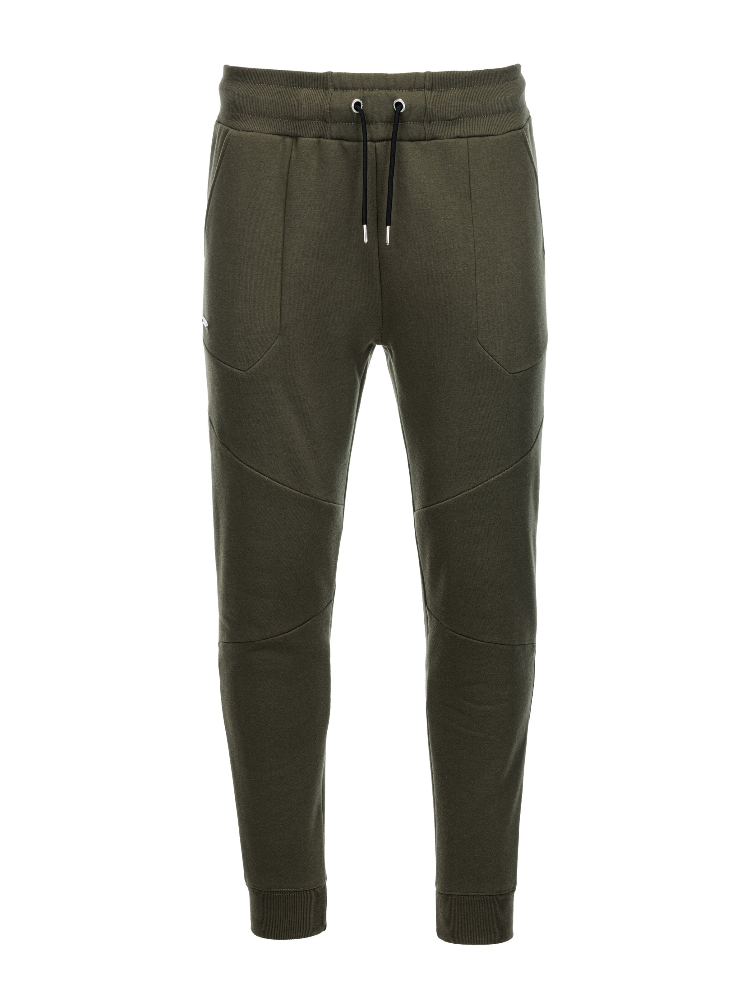Ombre Pants 'PASK-22FW-008' in Green: front