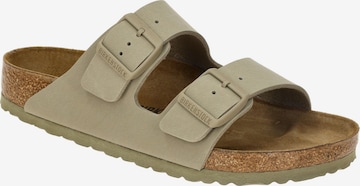 zaļš BIRKENSTOCK čības 'Arizona BS 1027704': no priekšpuses