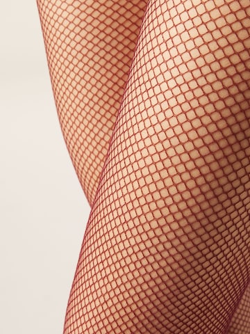 CALZEDONIA Feinstrumpfhose in Rot