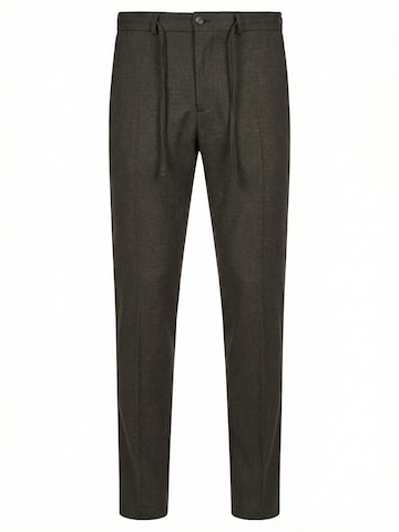 Zuitable Slim fit Pants 'DiSpartaflex SE' in Brown