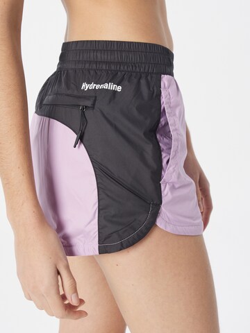 THE NORTH FACE - Regular Calças 'HYDRENALINE' em roxo