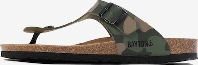 Bayton Japanke 'MERCURE' u svijetlosmeđa / svijetlozelena / tamno zelena / crna, Pregled proizvoda