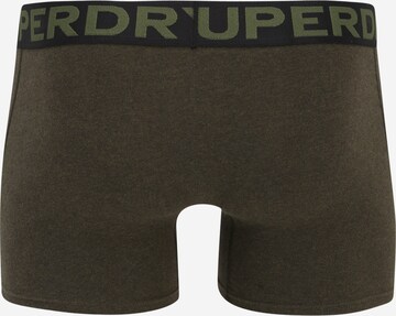 Boxer di Superdry in verde