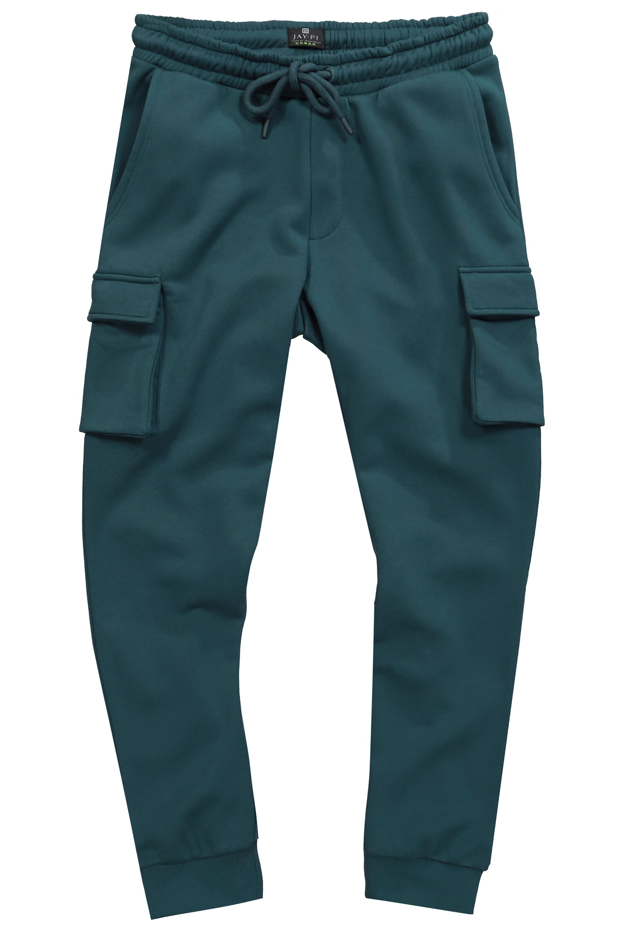 JAY-PI Tapered Hose in Blau: Vorderseite