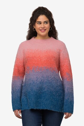 Ulla Popken Pullover in Blau: predná strana