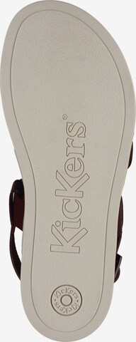 Sandalo con cinturino 'Kick Alana' di Kickers in marrone