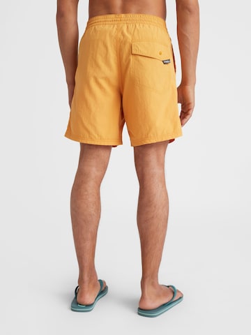 Pantaloncini sportivi da bagno 'Vert' di O'NEILL in giallo