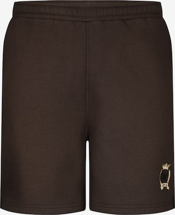 SikSilk Normalny krój Spodnie 'Essentials' w kolorze brązowy: przód
