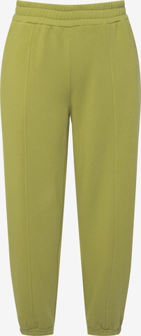 Regular Pantalon Studio Untold en vert : devant